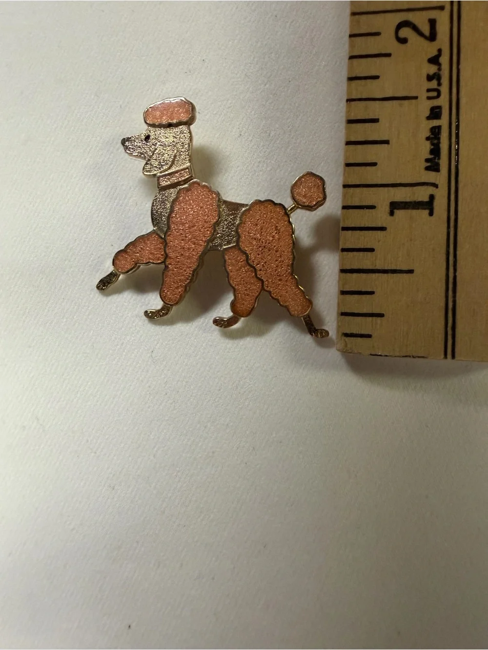 N/A cute poodle